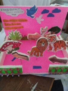 sumber: maket ekosistem kelas 7 SMP MBS Tangerang
