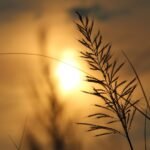 puisi mencintai diri