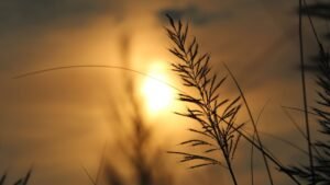 puisi mencintai diri