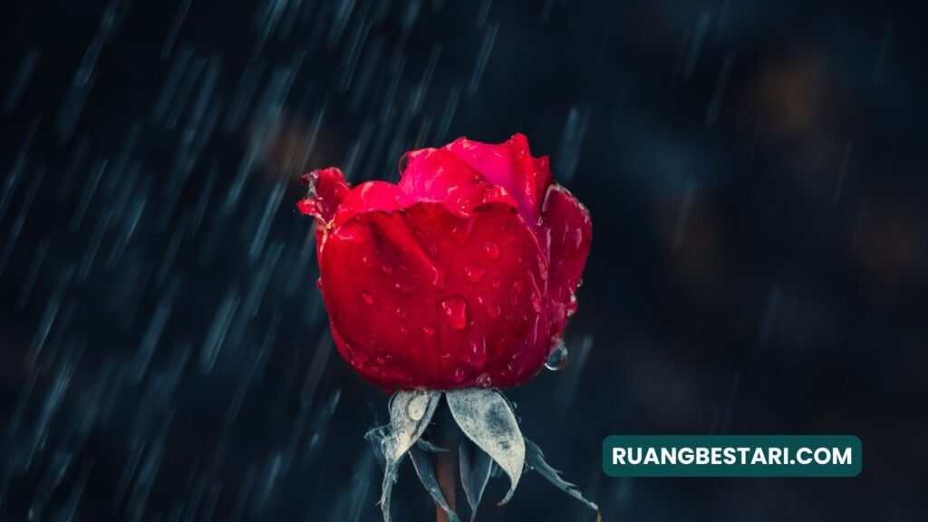 puisi mencintai diri