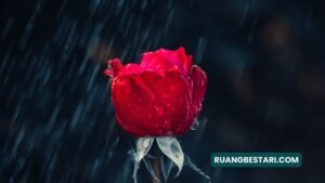 puisi mencintai diri