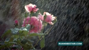 puisi mencintai diri