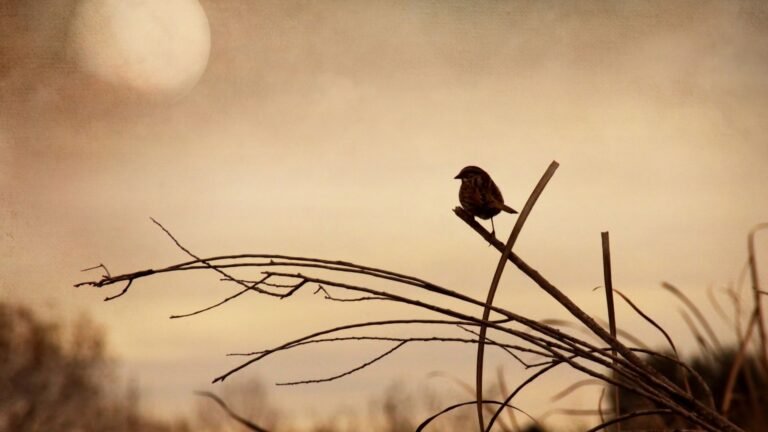 puisi mencintai diri