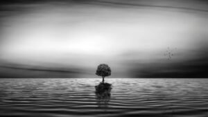 puisi mencintai diri