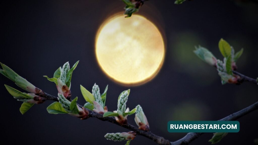 puisi mencintai diri