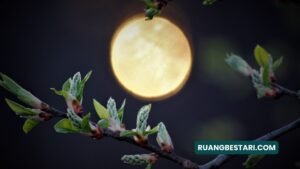 puisi mencintai diri