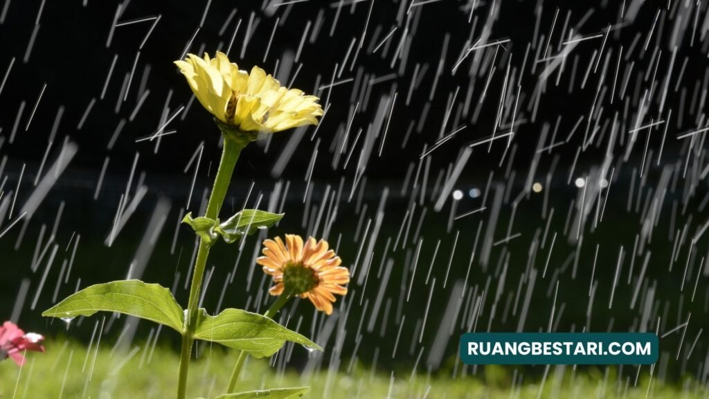 puisi mencintai diri