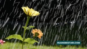 puisi mencintai diri