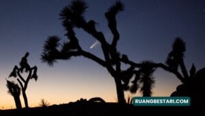 puisi mencintai diri