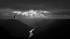 puisi mencintai diri