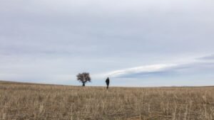 puisi mencintai diri