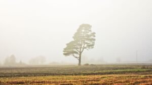 puisi mencintai diri