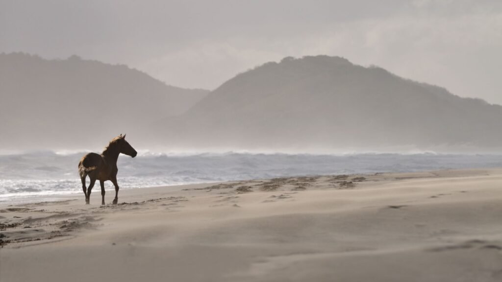 puisi mencintai diri
