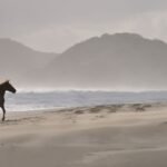 puisi mencintai diri