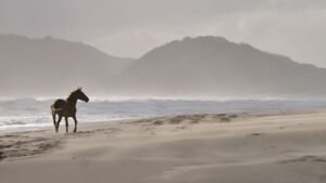 puisi mencintai diri