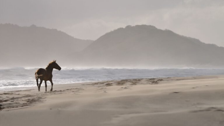 puisi mencintai diri