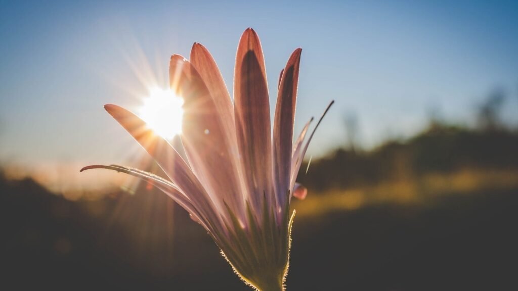 puisi mencintai diri