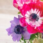 Dewasa Puisi Mutia Malika Ramadhani