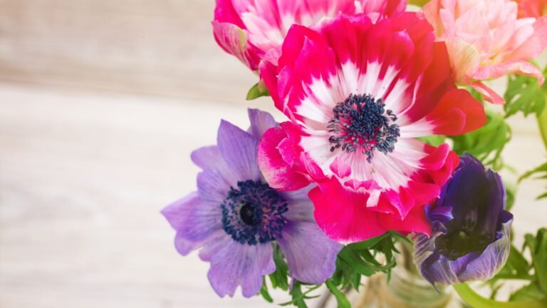 Dewasa Puisi Mutia Malika Ramadhani