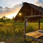 Gubuk Sawah dan Kenangan - Puisi Mugiati, S.S.