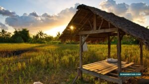 Gubuk Sawah dan Kenangan - Puisi Mugiati, S.S.