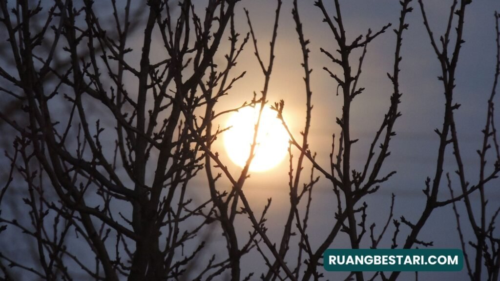 Keindahan Sang Bulan - Puisi Euis Rosalia