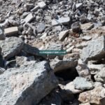 doa untuk palestina
