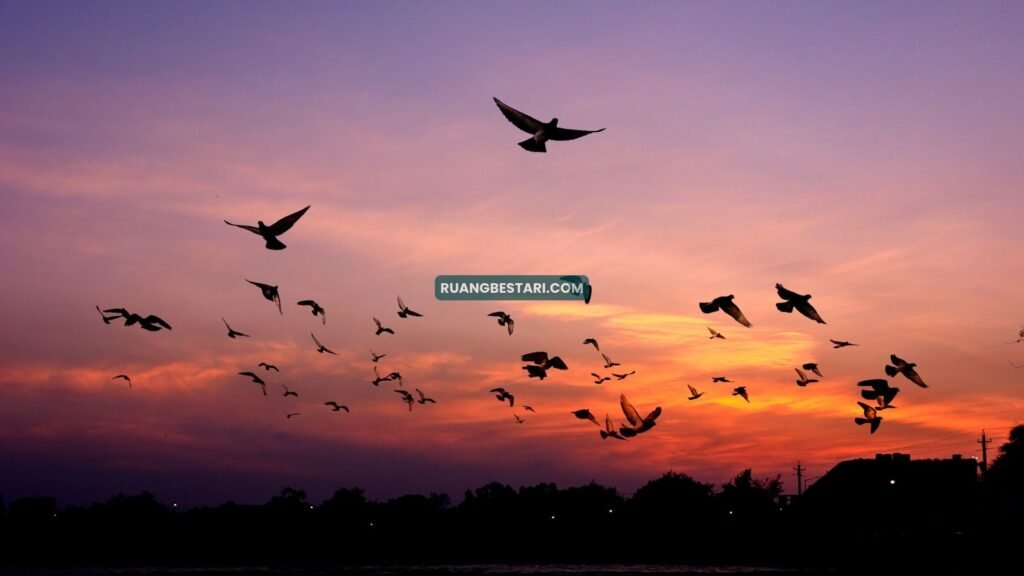 Merpati, Senja, dan Lelakiku