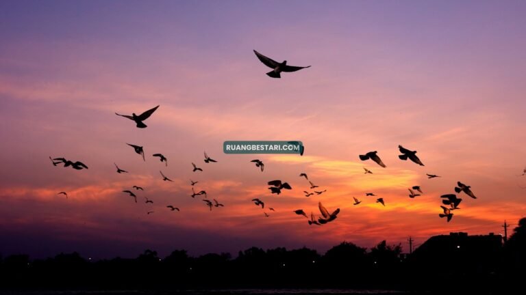 Merpati, Senja, dan Lelakiku