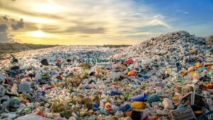Solusi Mendasar Penanganan Limbah Plastik - Rindang TQSolusi Mendasar Penanganan Limbah Plastik - Rindang TQ