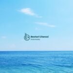 Hanya Aku Disini - Puisi Nova Pebriyani