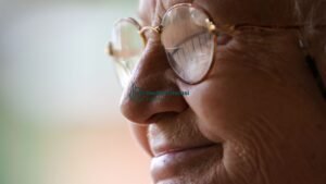 Merajut Makna di Telatah Usia Senja - Karya Budianto Sutrisno