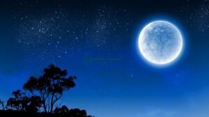 Untuk Almarhum Orang Tua Puisi Alexander Estu Pramana