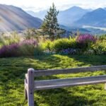 Garis Waktu - Puisi Elvi Yani