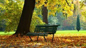 Ayah Mengapa Kau Begitu Cepat Tinggalkan Aku - Puisi Hasanuddin