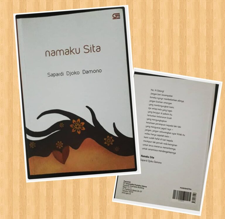 resensi buku #1 Namaku Sita