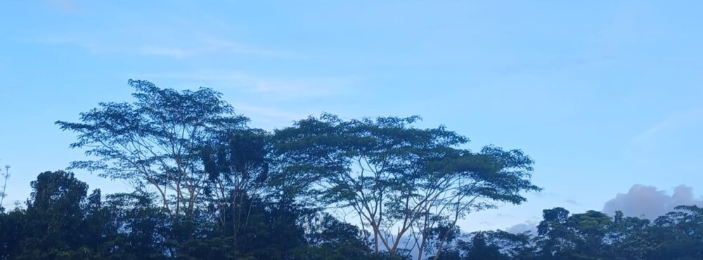 Suwendi